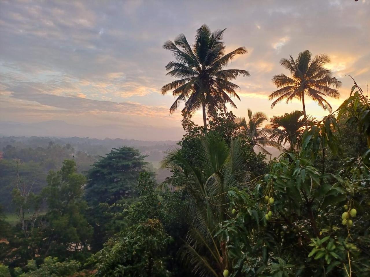 The Traveller Kandy Ngoại thất bức ảnh